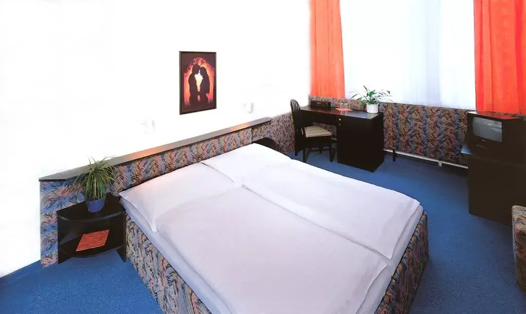 Photo 2 of Hotel U TŘÍ LVŮ