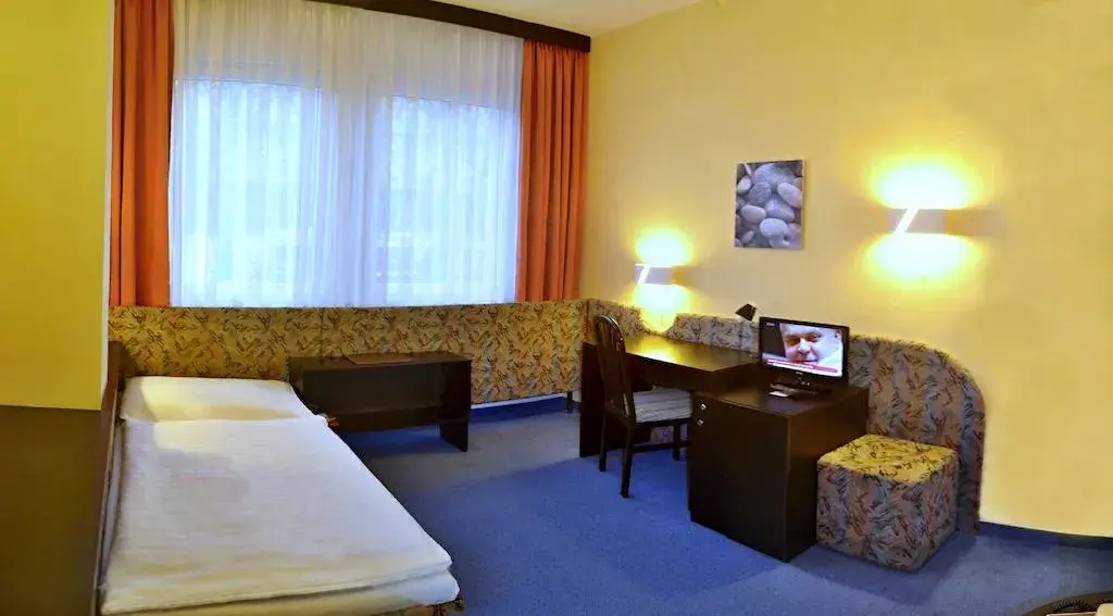 Photo 5 of Hotel U TŘÍ LVŮ