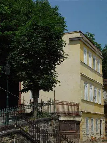 Villa Zlatý Jelen , Carlsbad Karlovy Vary