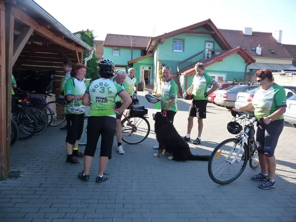 Photo 5 of Vinařský dům Kopeček