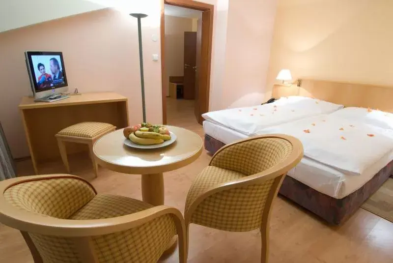 Wellness Hotel Frymburk, Frymburk