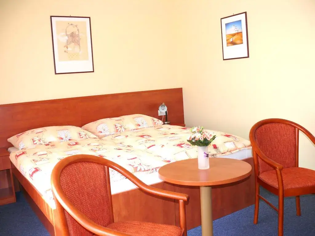 Photo 5 of Hotel Morava