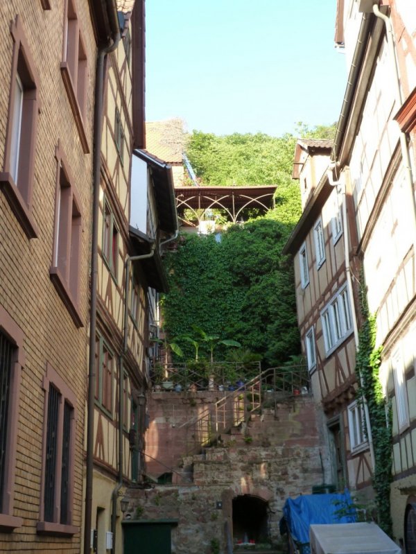 Main.Berg.Blick — Photo 2