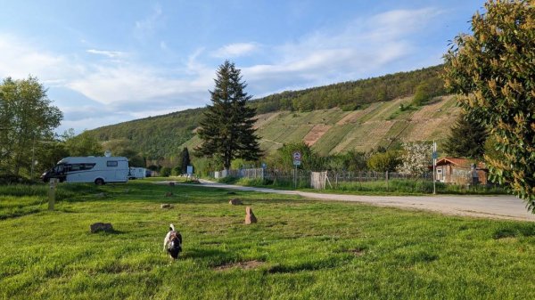 Main.Berg.Blick — Photo 5