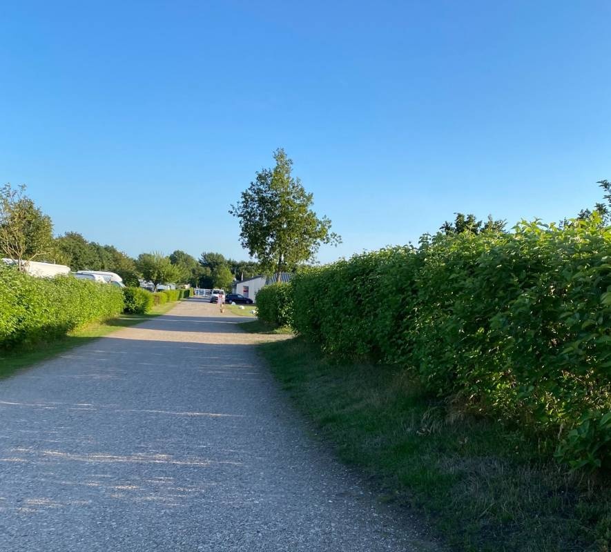 Camping Mitte — Campingplads in Medelby