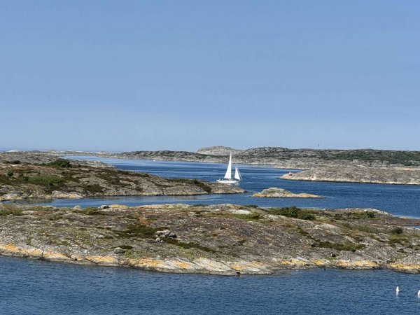 Stocken Camping — Photo 6