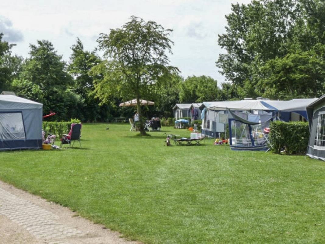 Minicamping Korenbloem — Campingplatz in Vrouwenpolder