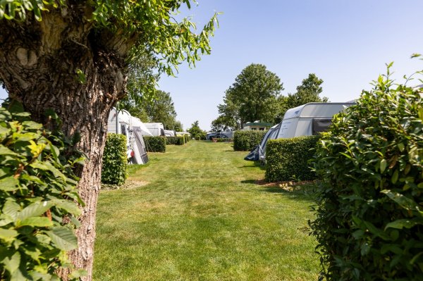 Klaverwijk Minicamping
