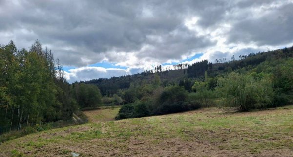 Camping Thüringer Wald — Photo 3