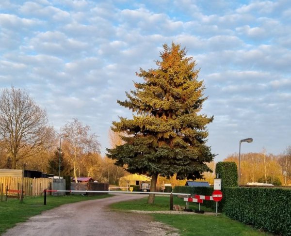 Mini-Camping De Hoefstal — Photo 6