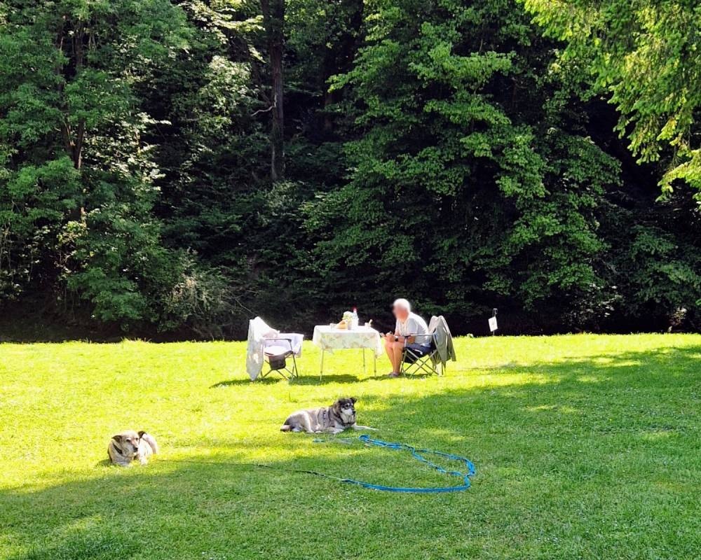 Camping Ferienpark Zum stillen Winkel — Camping in Niederbreitbach