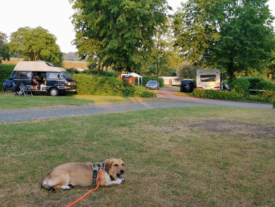 Camping Stadtsteinach — 露营地 in Stadtsteinach