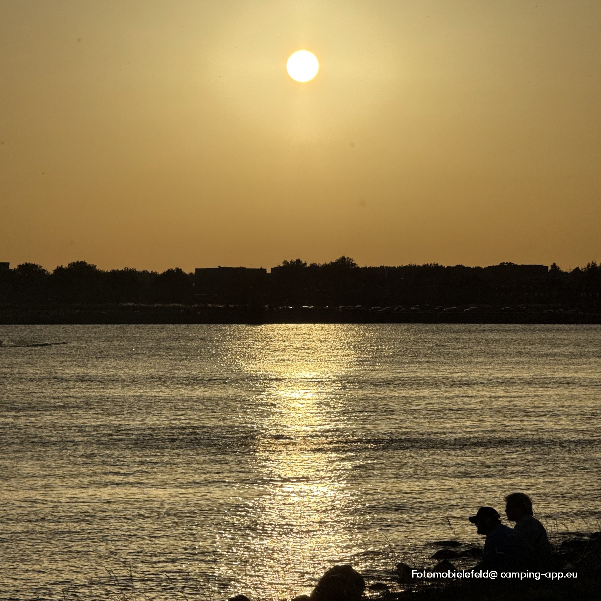 Grashaven Hoorn — Foto 6
