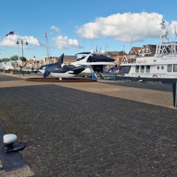 Camperplaats Haven Urk — Foto 6