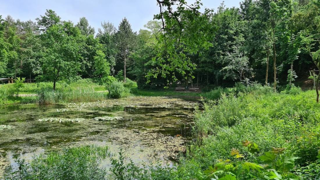 Stellplatz Wallsbüll — Area Autocaravanas in Wallsbüll