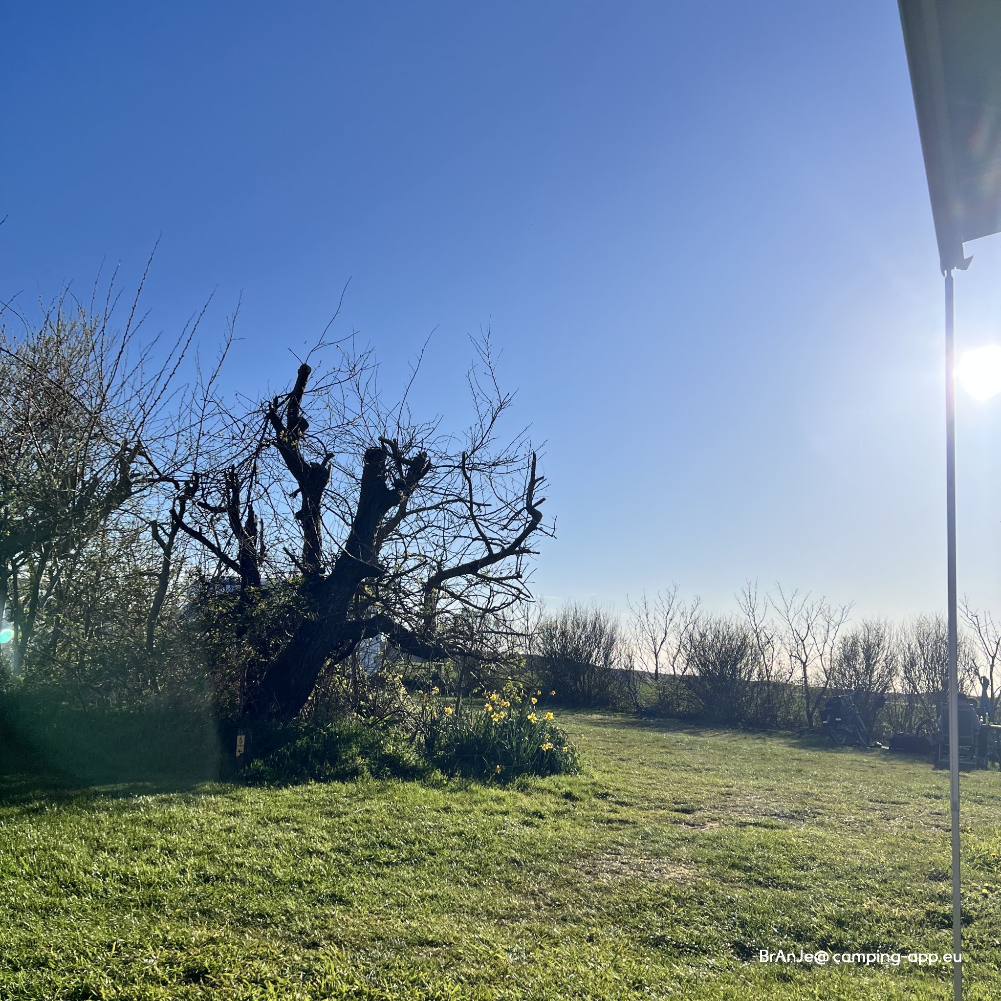 Boerencamping De Hoek — Photo 2