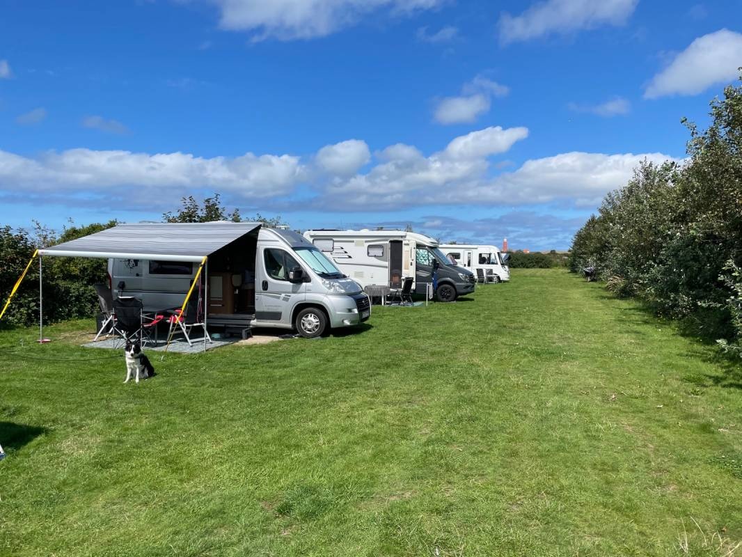 Boerencamping De Hoek — Camping Site in De Cocksdorp