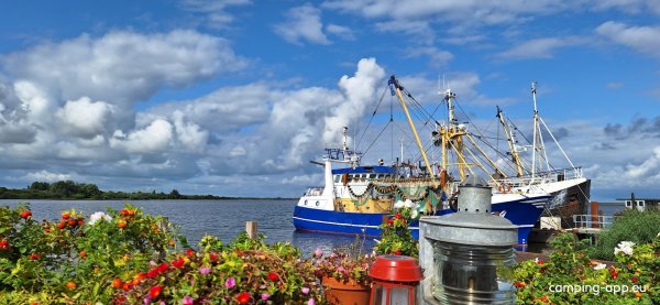 Camperplaatsen Lauwersoog — Foto 4