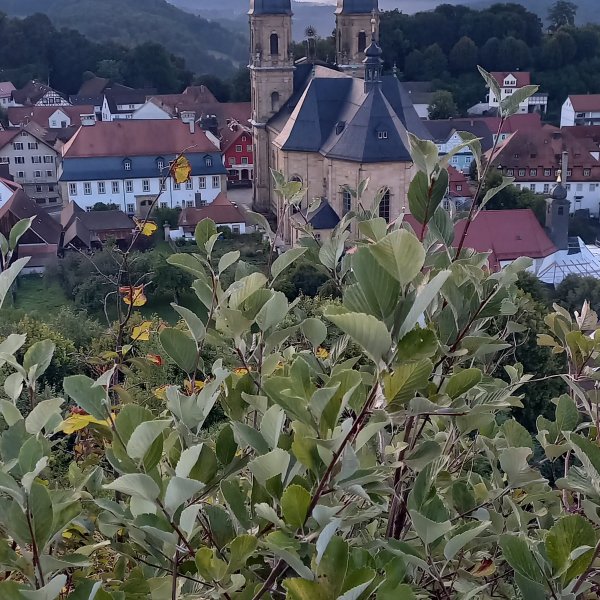 Stellplatz Gößweinstein — Photo 2