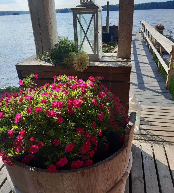 VuoriCaravan Ellivuori Resort — Photo 2