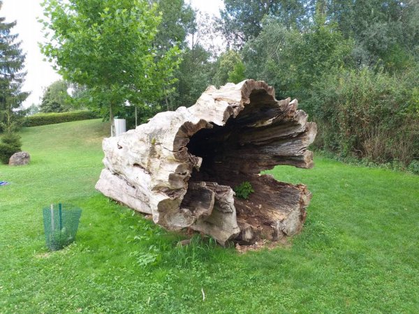 Camping und Stellplatz Aussee — Photo 3