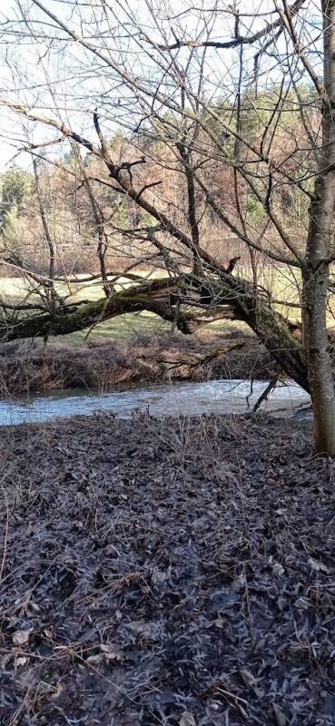 Stellplatz Nagold — Campervan Site in Nagold