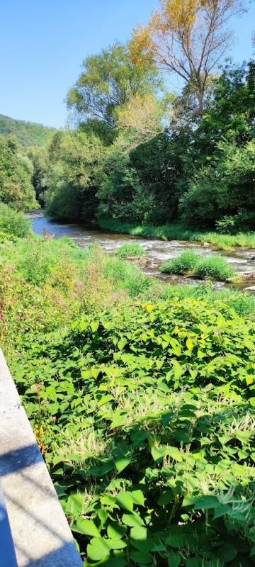 Campingplatz Bad Blankenburg — Campingplats in Bad Blankenburg
