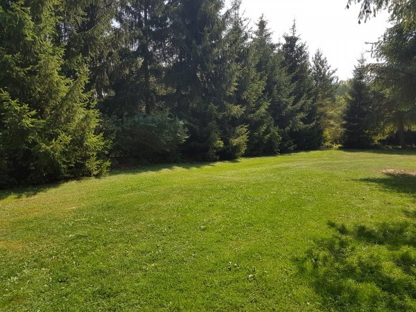 Stellplatz Gasthaus am Waldbad — Fotografie 3