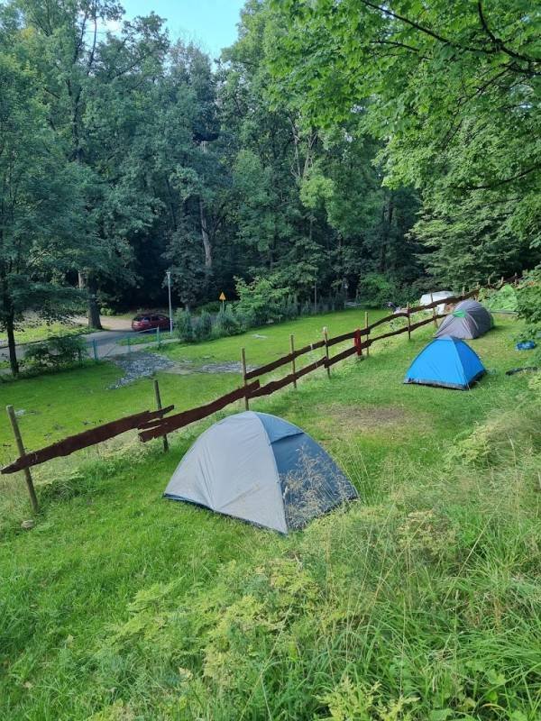 Camping Pod Lipami Nr 165 — Photo 2