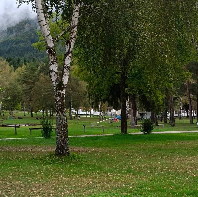 Camping Rosental Rož — Kamp yeri in Gotschuchen