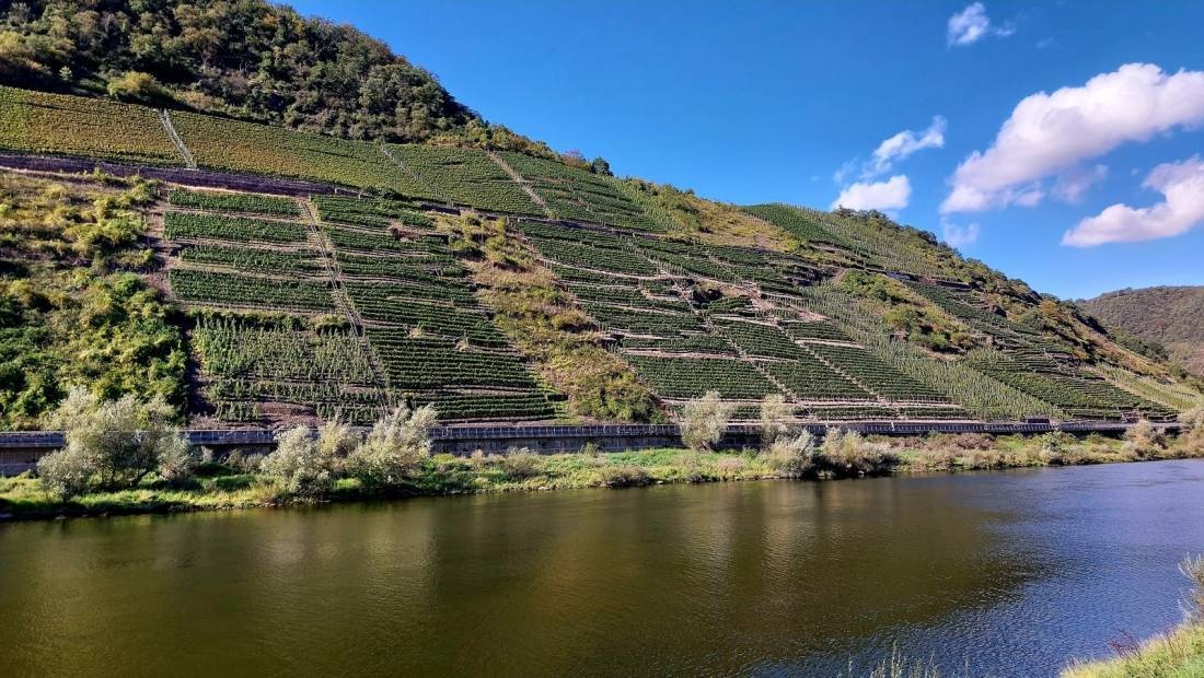 Campingplatz Bruttig-Fankel — Camping in Bruttig-Fankel