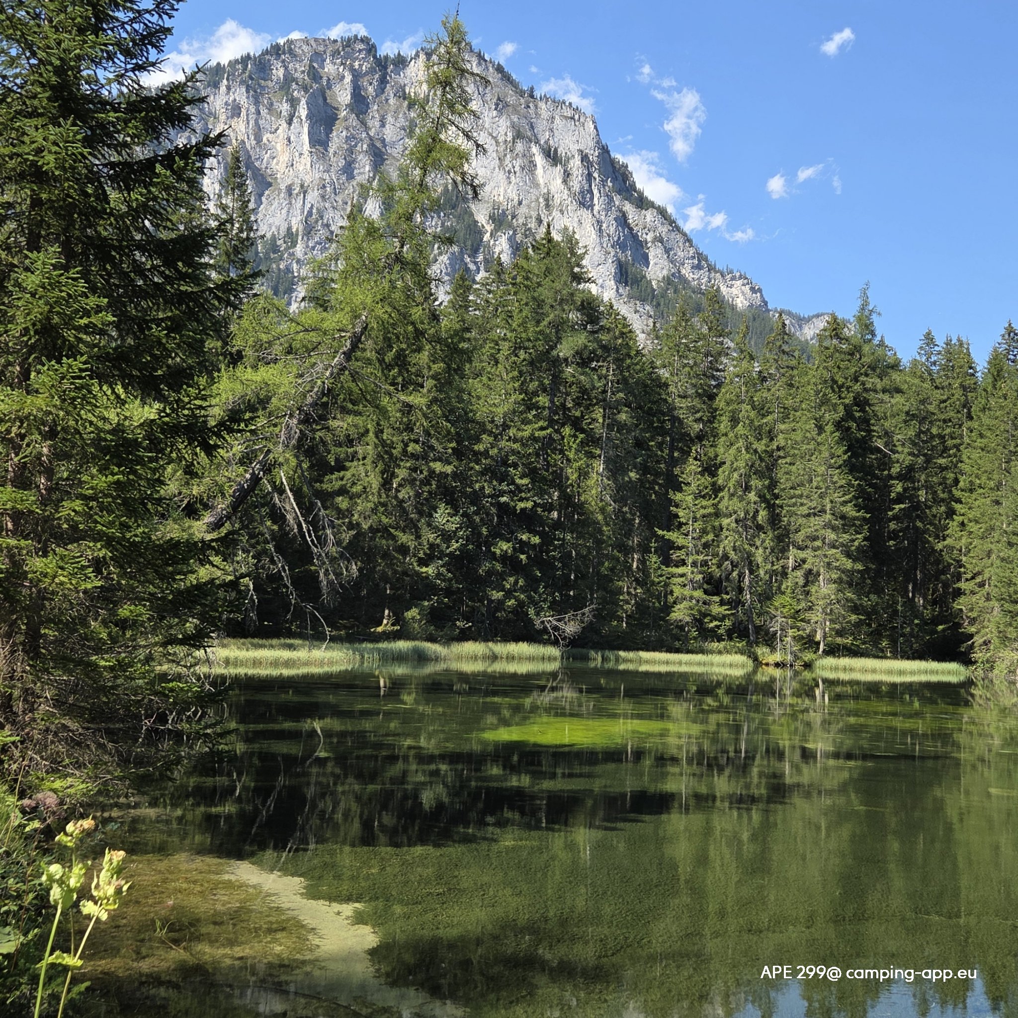 Camping Freizeitsee Zenz — Foto 4