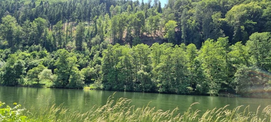 Festplatz Dorfprozelten — Bobilplass in Dorfprozelten