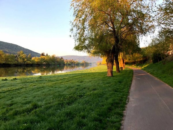 Festplatz Dorfprozelten — Photo 2