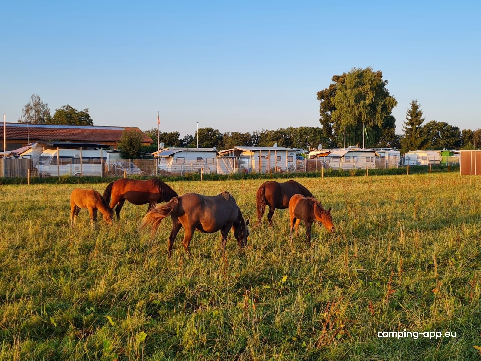 Campingplatz Schurrenhof — Photo 2
