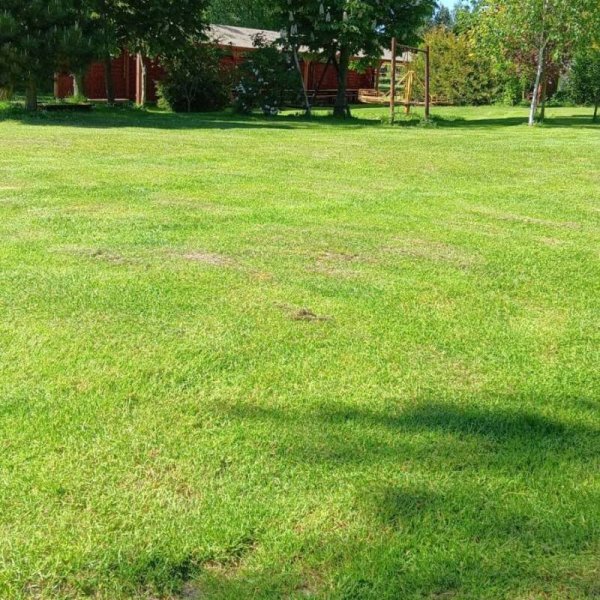 Skarbienice — Photo 5