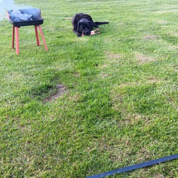 Skarbienice — Photo 6