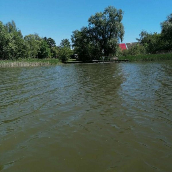 Skarbienice — Photo 4