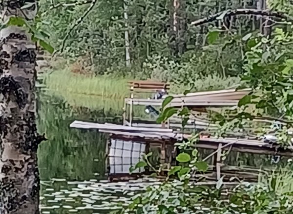 Matkajoki Camping — Foto 2