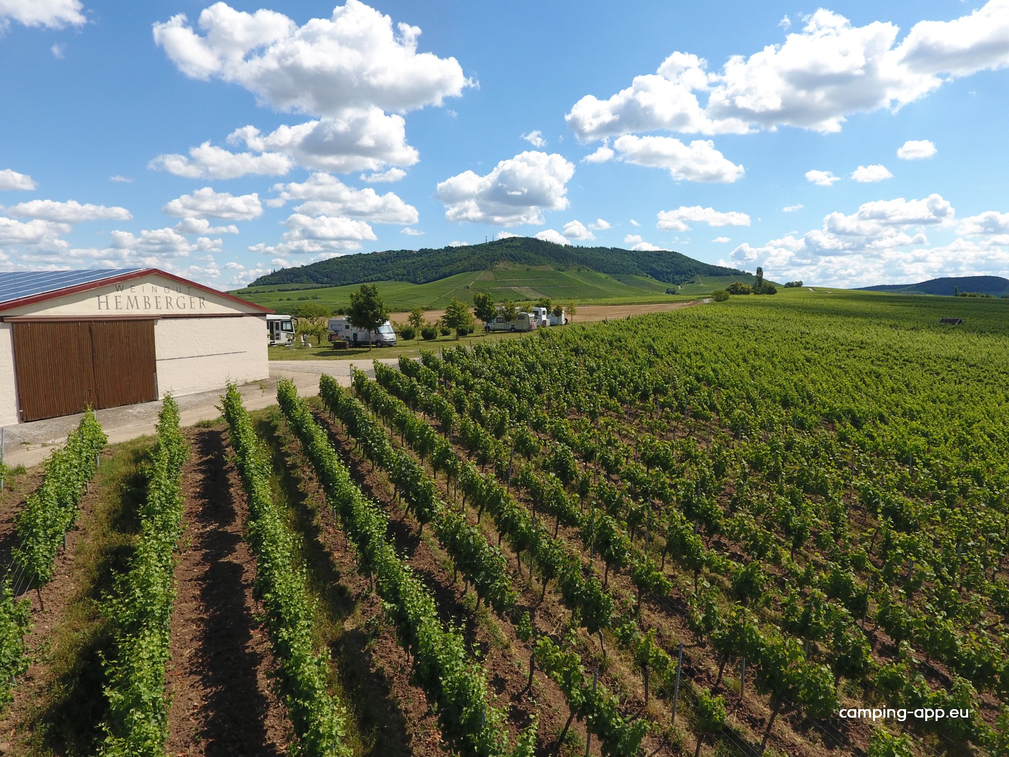 Weingut Hemberger — Azienda vinicola in Rödelsee