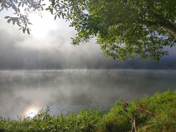 Wohmobilpark am Moselufer Minheim — Photo 4