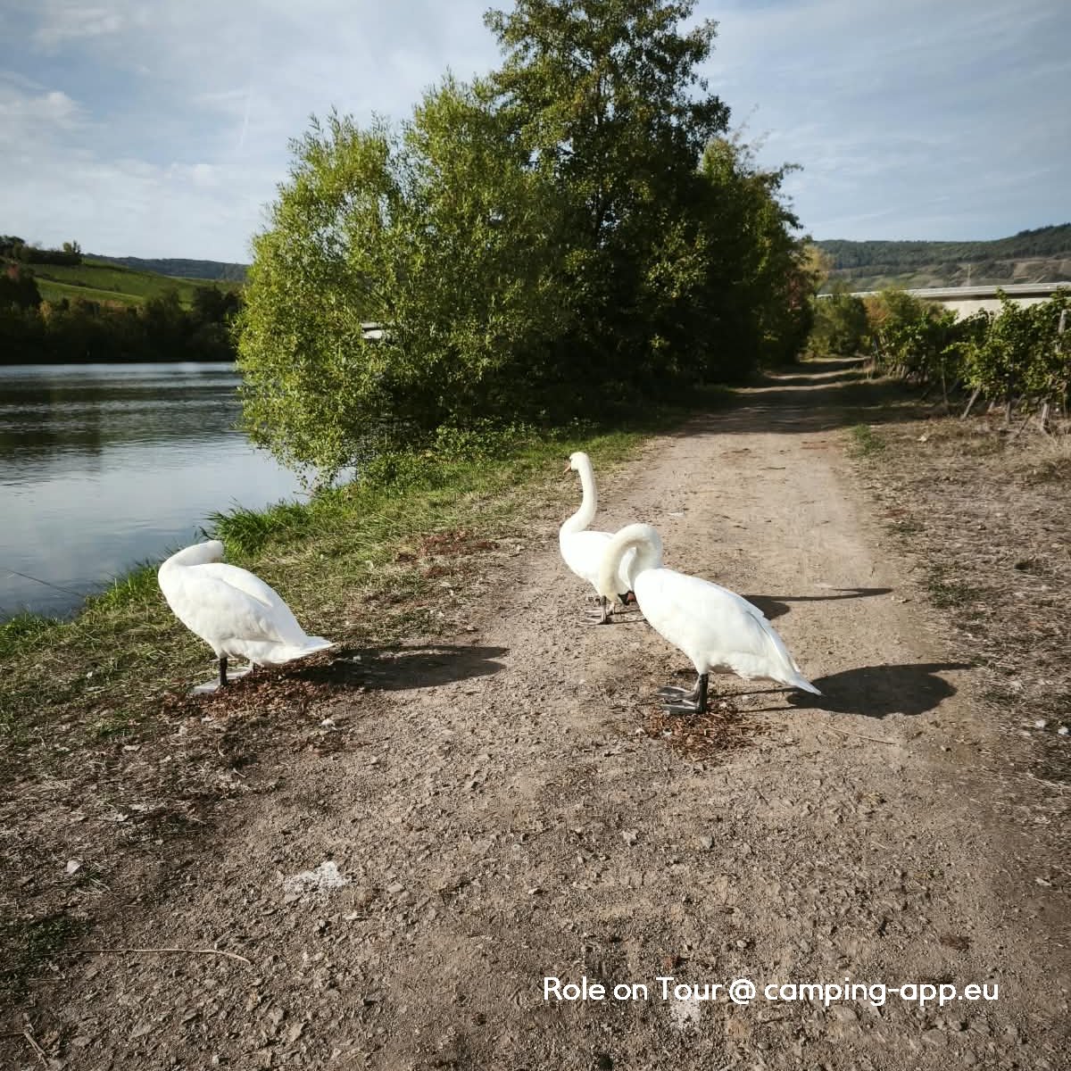 Wohmobilpark am Moselufer Minheim — Foto 2