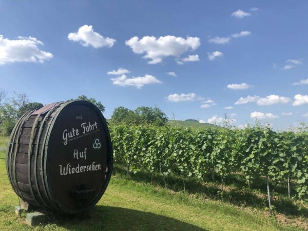 Wohmobilpark am Moselufer Minheim — Photo 6