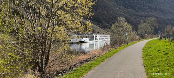 Wohmobilpark am Moselufer Minheim — Photo 5