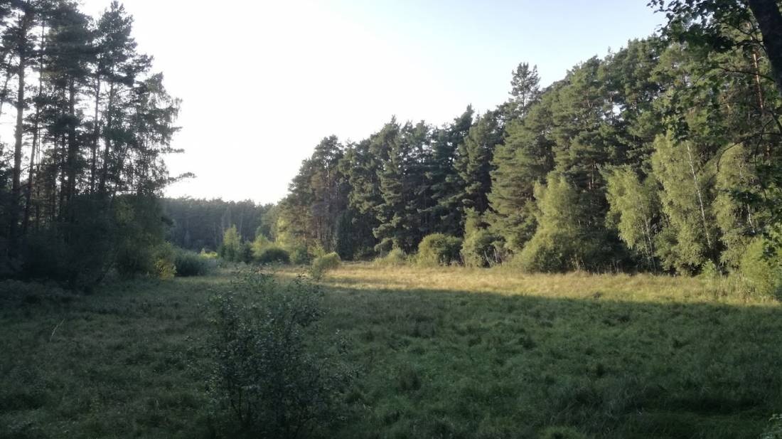 Naturcampingplatz Am Roofensee e.V. — Camping Site in Stechlin