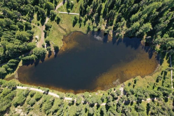 Camping St. Moritz — Photo 3