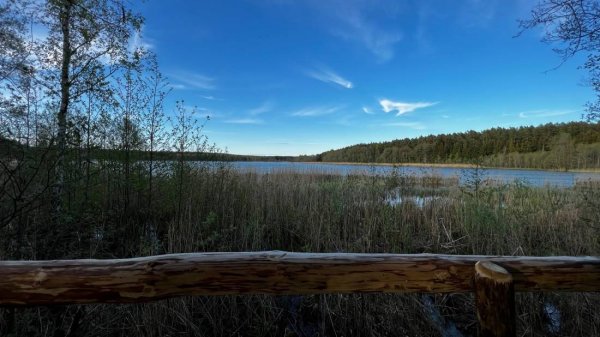 Zum Teich Naturtouristik — Photo 3