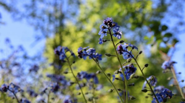 Zum Teich Naturtouristik — Photo 4