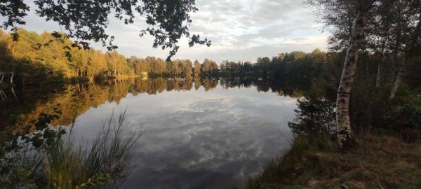 Campingplatz Wiesedermeer — Photo 2