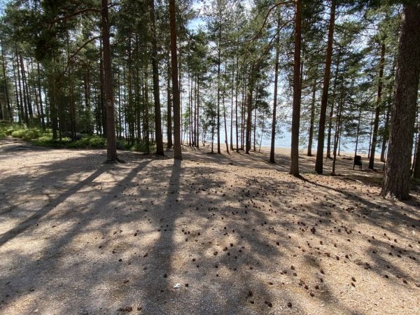 Mäntyrannan Lomakylä — Foto 5